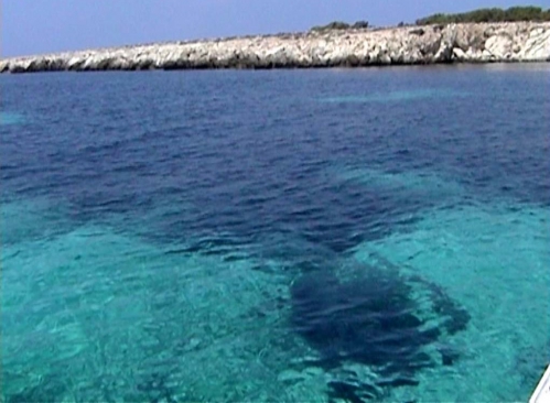 Favignana