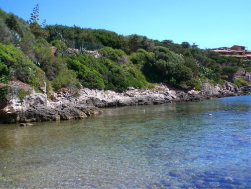 Isola di Giannutri