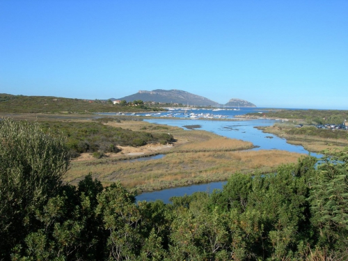 Isola dei Porri