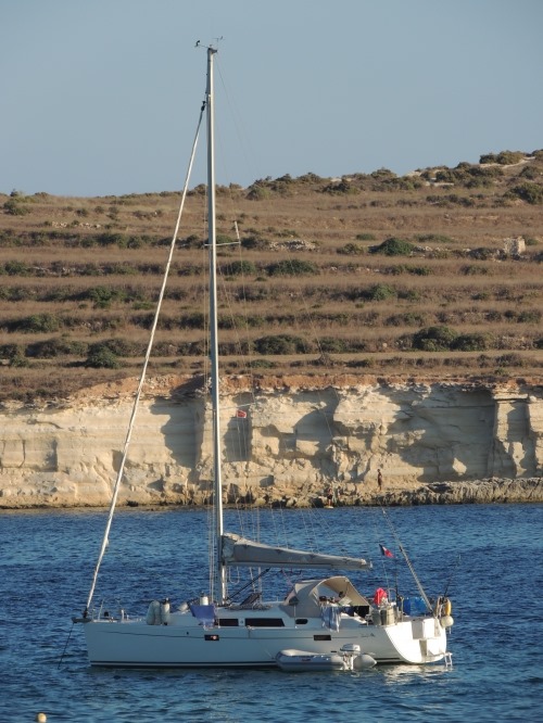 Le Vent du Sud