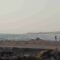 Scoglitti