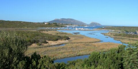 Isola dei Porri