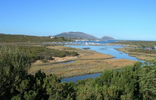 Isola dei Porri